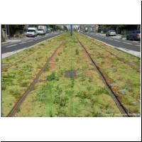 2021-07-19 -T9- Choisy,Avenue de la Republique 02.JPG